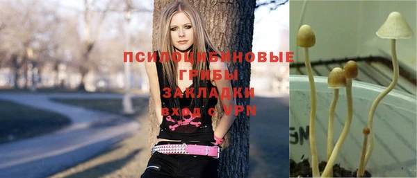 скорость Алексин