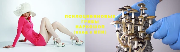 бошки Алзамай