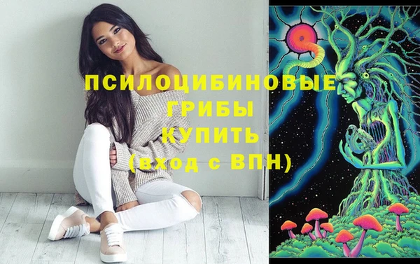 скорость Алексин